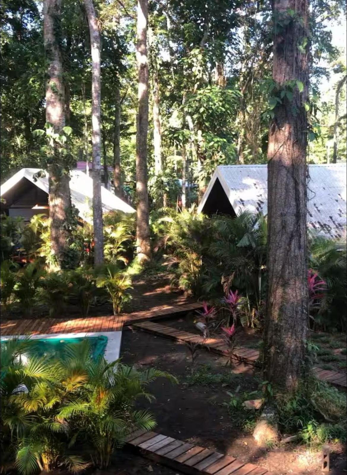Villa Wolaba Puerto Viejo de Talamanca Eksteriør billede