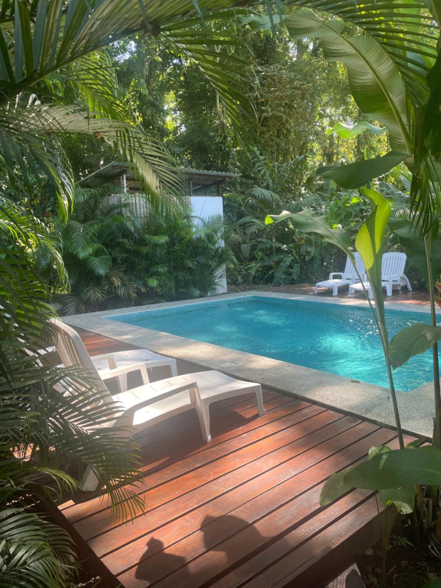 Villa Wolaba Puerto Viejo de Talamanca Eksteriør billede