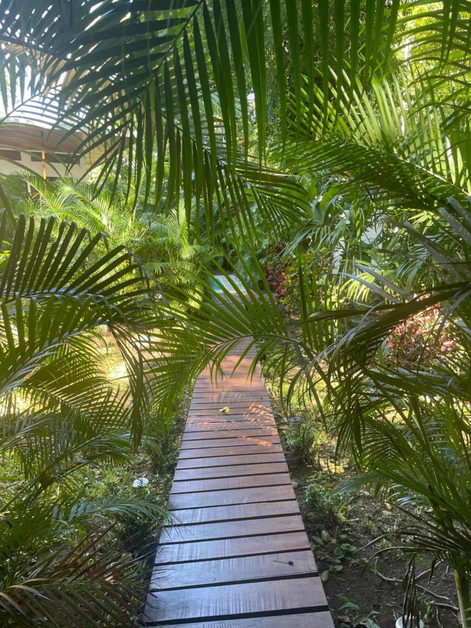 Villa Wolaba Puerto Viejo de Talamanca Eksteriør billede