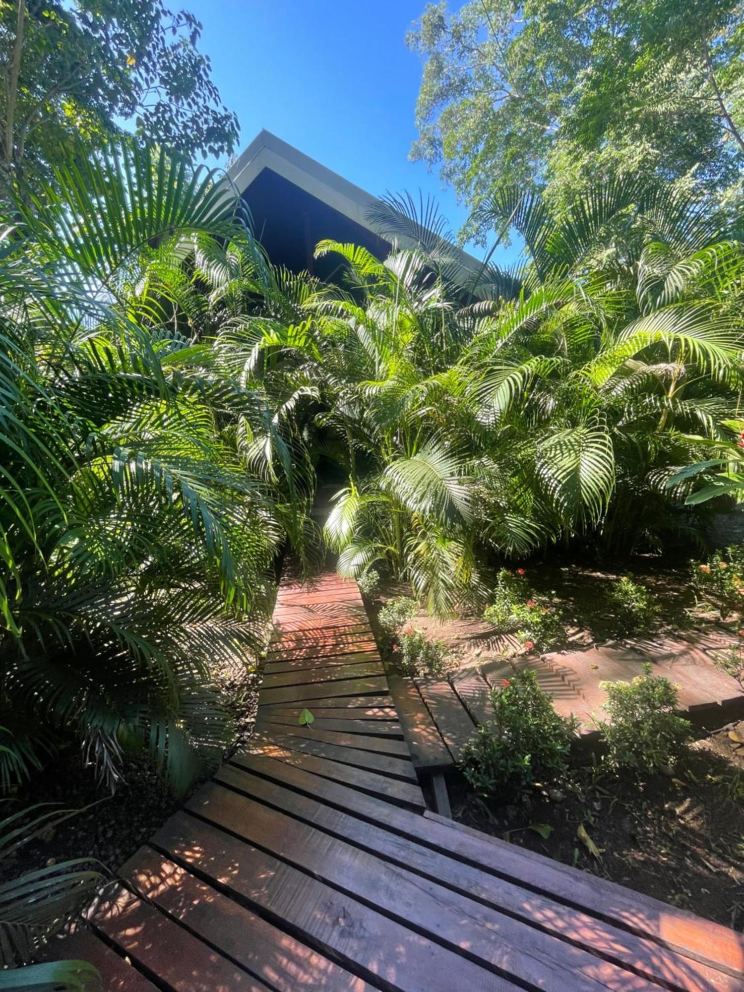 Villa Wolaba Puerto Viejo de Talamanca Eksteriør billede