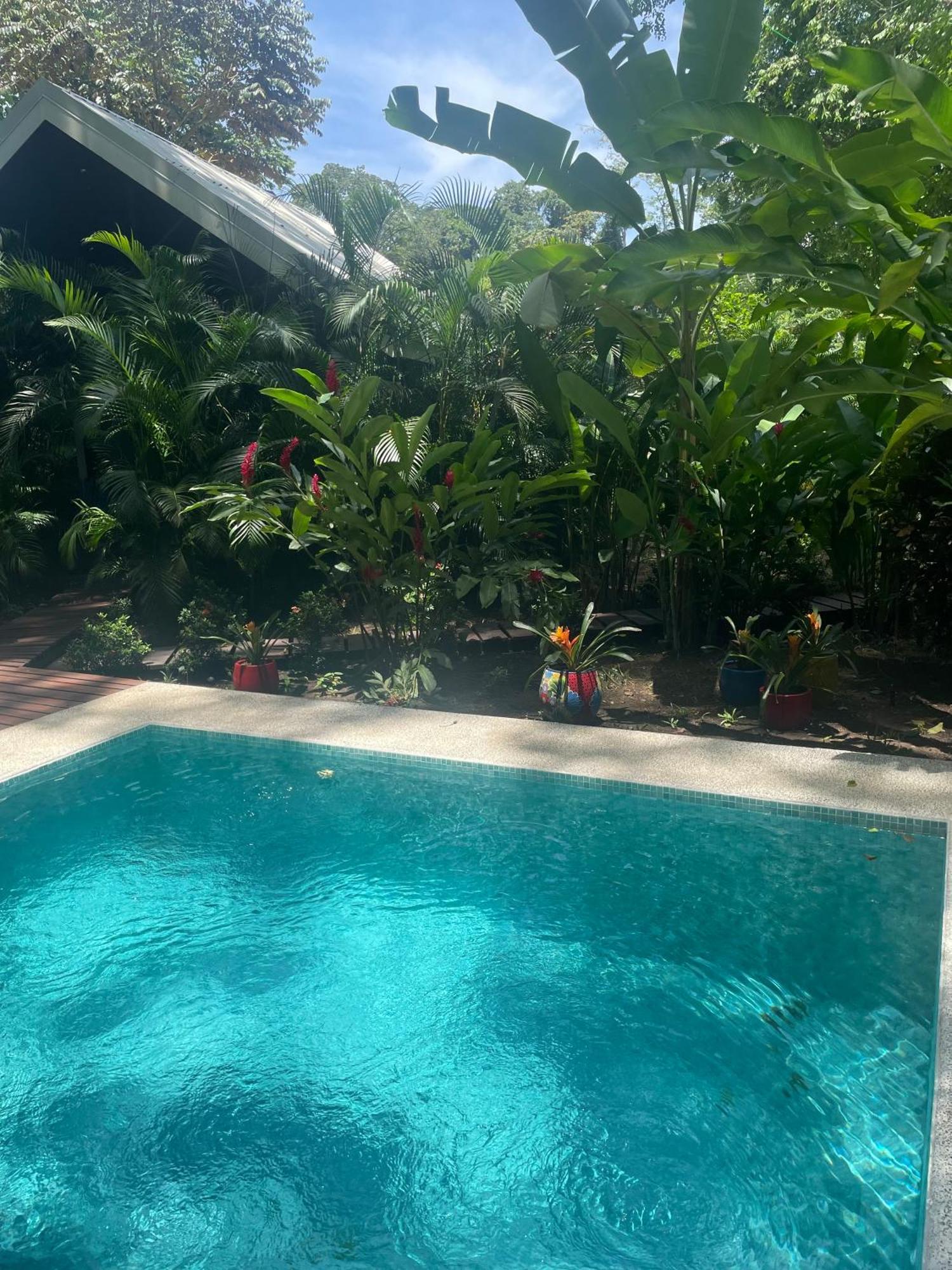 Villa Wolaba Puerto Viejo de Talamanca Eksteriør billede