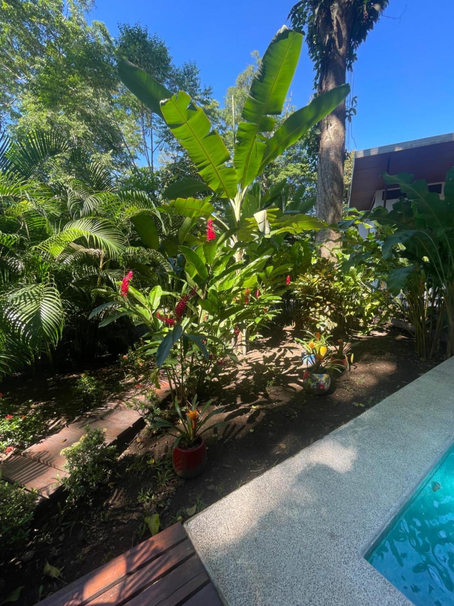 Villa Wolaba Puerto Viejo de Talamanca Eksteriør billede