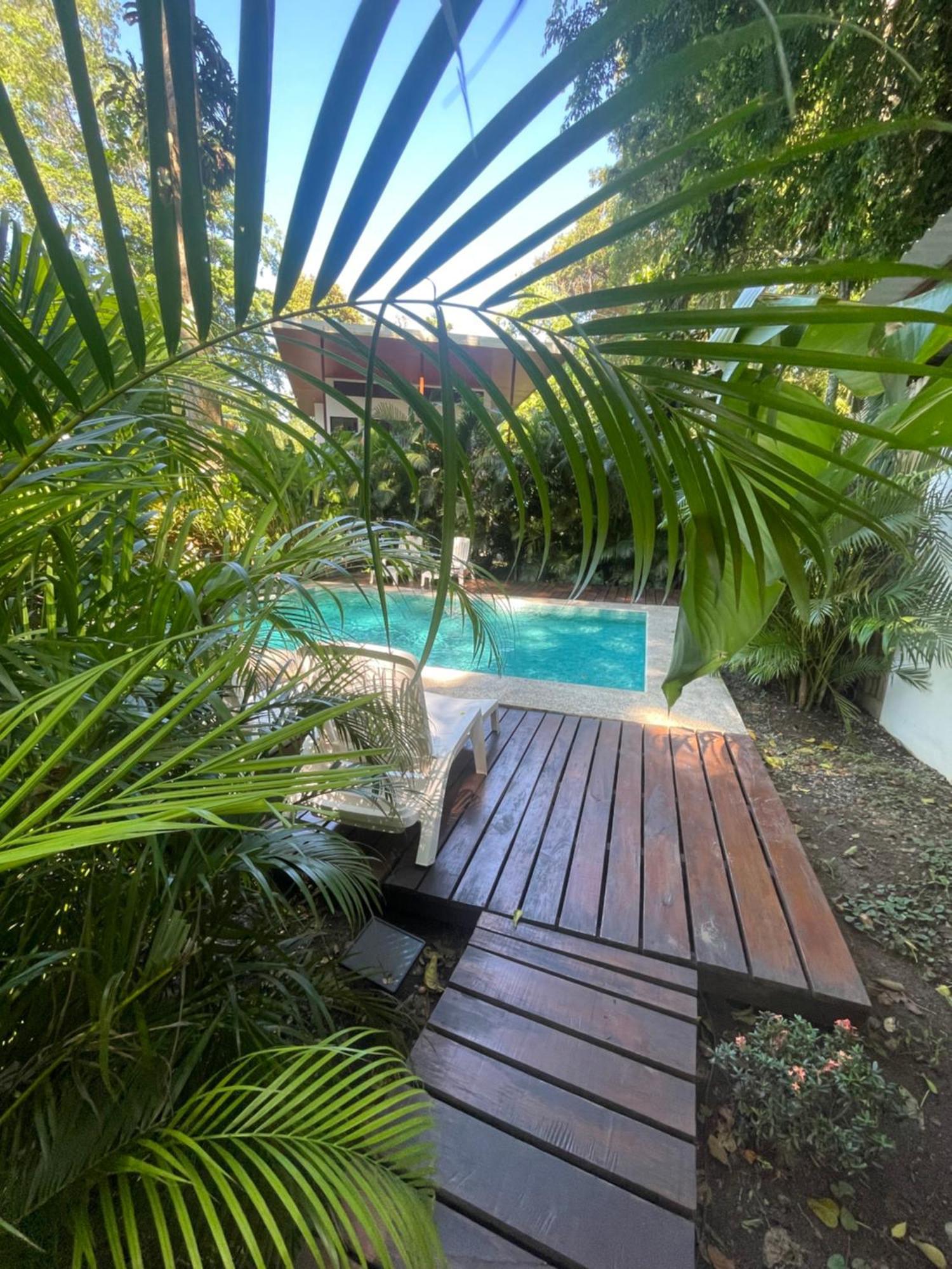 Villa Wolaba Puerto Viejo de Talamanca Eksteriør billede